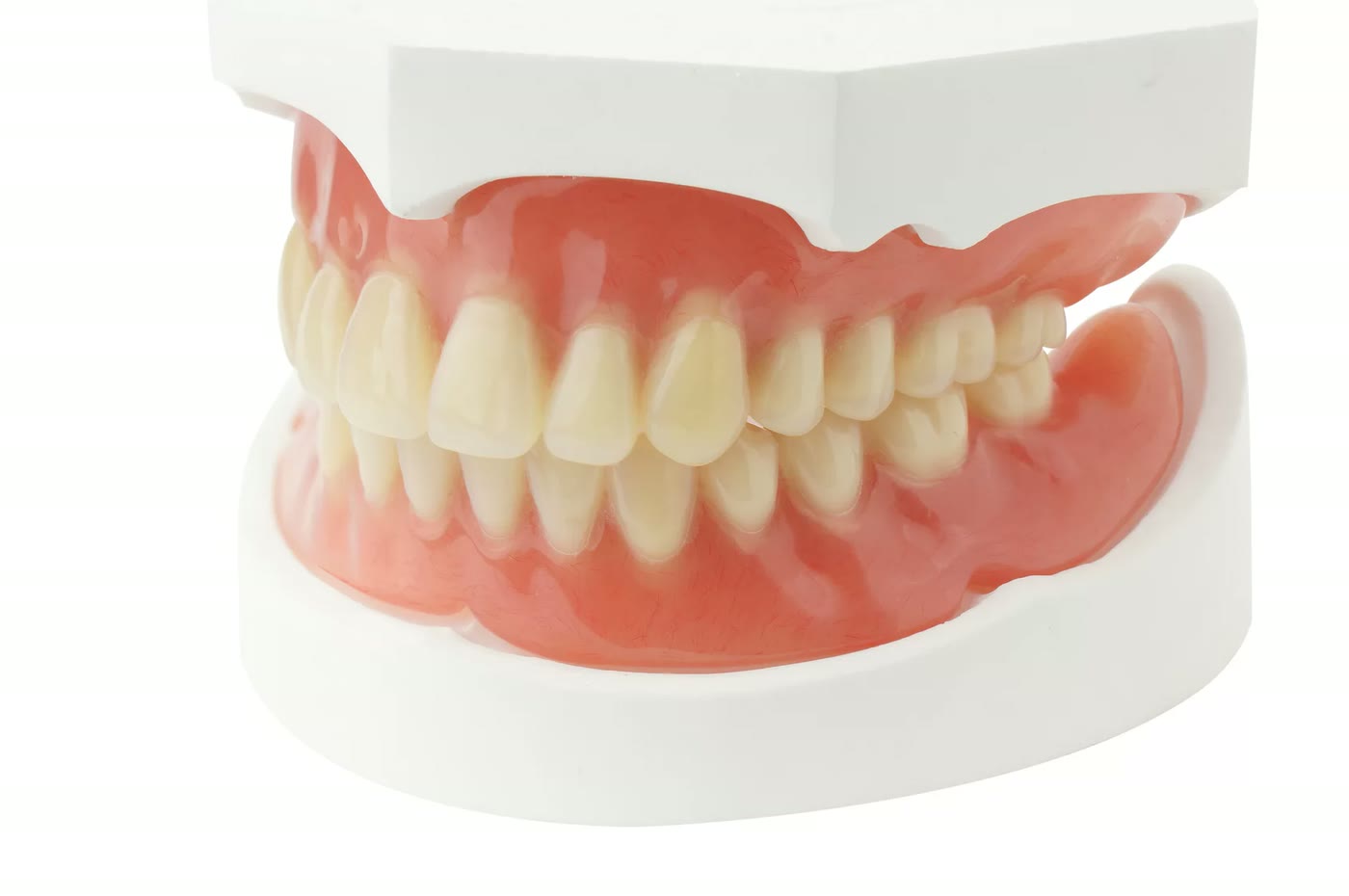 Model de proteză dentară totală, superioară și inferioară, montat pe suport