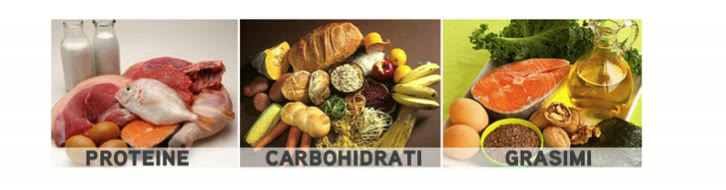 Banner cu cele trei grupe de macronutrienți: proteine, carbohidrați și grăsimi